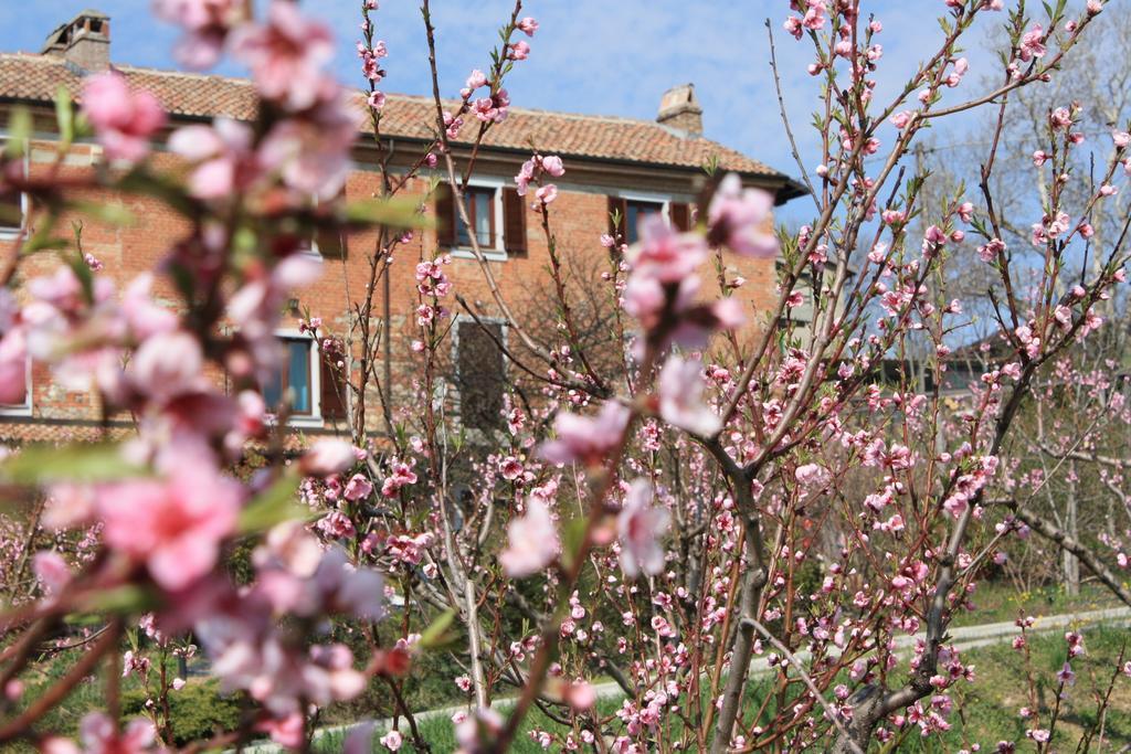 B&B Di Spineto Villaromagnano Kültér fotó